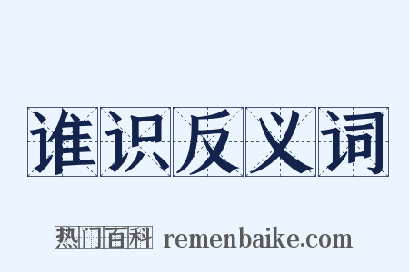 谁识反义词是什么意思的图片